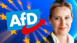 AfD Europawahlprogramm einfach erklärt  2024 [upl. by Armitage]