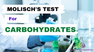 Molischs Test  Test for Carbohydrates  How to differentiate Carbohydrates from other Molecules [upl. by Viridi657]