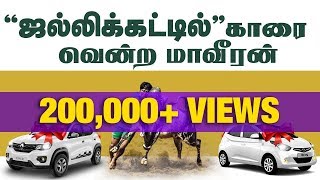 Alanganallur Jallikattu 2018 Winners  ஜல்லிக்கட்டில் காரை வென்ற மாவீரன்  IBC Tamil [upl. by Amasa]