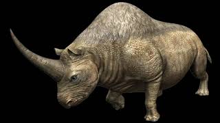 Elasmotherium Caucasicum Siberian Unicorn Rhino Sounds JW [upl. by Johiah]