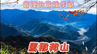 馬那邦山最美麗最親民的賞楓步道 [upl. by Saree]