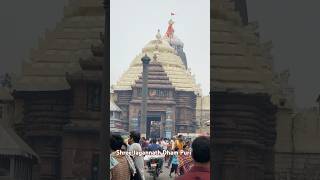 One Supreme God  Shree Jagannath Dham Puri Odisha India Temple Pilgrim Devotees Mahaprabhu [upl. by Mw]