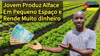 Jovem Produz Alface em Um Pequeno Quintal e Rende Muito Dinheiro [upl. by Novihs]