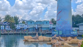 SeaWorld Orlando Florida 🐬🦭 [upl. by Aoket]