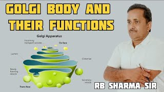 GOLGI BODY AND THEIR FUNCTIONS [upl. by Auqinaj]