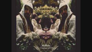 Midlake  Bring Down [upl. by Colburn]