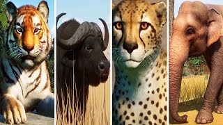 Lots of Zoo Wild Animals For Children With Real Safari Animal Videos [upl. by Mikihisa]