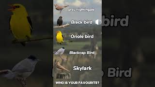 Which bird sounds the best birds shorts lifestyle sound europe english [upl. by Grose]