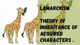 Lamarckism Theory Of Inheritance Of Acquired Characters Rejection Of Lamarckism  Flaws [upl. by Sulohcin886]