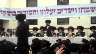 Tosher Sheva Brachos in Boro Park [upl. by Mccarty]