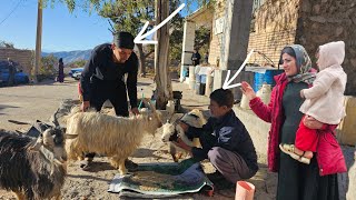 Daily life of Mehdis family selling 3 sheep [upl. by Oigres]