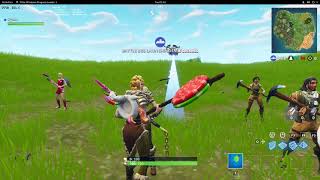 Fortnite Sort of Worked on Linux [upl. by Nyrmac]