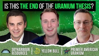 THE Uranium Crash Camecos Warning and 2 Uranium Stocks [upl. by Aseyt760]