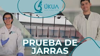 Prueba de jarras Procedimiento estándar  Úkua Lab [upl. by Arod]