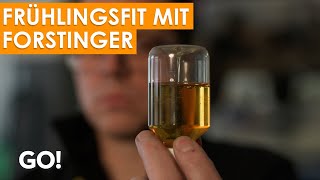 Das Auto fit für den Frühling machen mit Forstinger [upl. by Towne430]