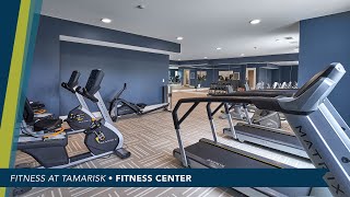 Fitness at Tamarisk [upl. by Kohcztiy]