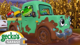 Muddy Trucks  Geckos Garage  Trucks For Children  Cartoons For Kids [upl. by Herrmann]