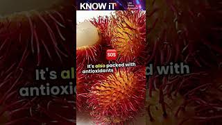 10 Cool Facts About Rambutan  KNOW iT [upl. by Valeria562]