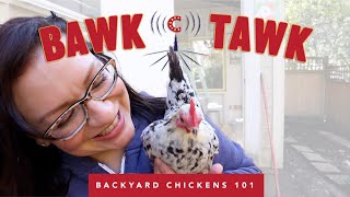 The Truth about Mareks Disease in Chickens  Bawk Tawk Podcast [upl. by Pegasus]