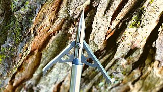 Rage Trypan Broadhead Review [upl. by Ludba]