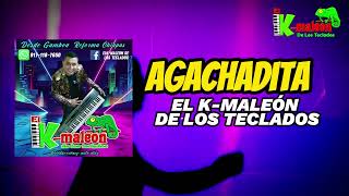 AGACHADITA EN VIVO PARAISO TAB • El Camaleón De Los Teclados [upl. by Oned450]