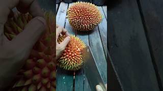 Bukan durian bukan lahung tapi buah maloi maloi buah maloi [upl. by Naitsabes]