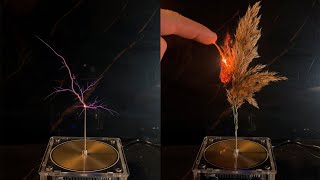 Experiment with Tesla Coil Spikelet [upl. by Mcclish294]