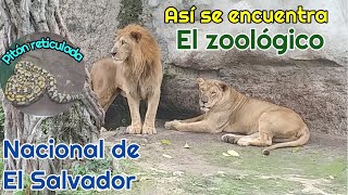 Así se encuentra el Zoológico Nacional de El Salvador en la actualidad [upl. by Dituri]