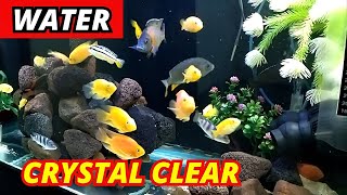 Aquarium Water Crystal Clear  Fish Tank Water Crystal Clear  Umair Saeed  Urdu [upl. by Jehias]