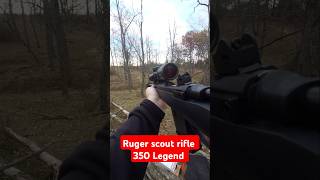 Best rifle in 350 Legend Ruger scout rifle best best hunting 350legend [upl. by Heimer]