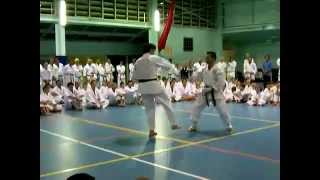 Robert Sullivan GKR karate 8th dan kumite [upl. by Arayk]