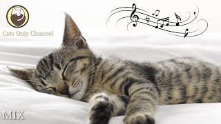 10 Hours of Relaxing Music for Cats  Harp Music to Calm Cats [upl. by Jana]