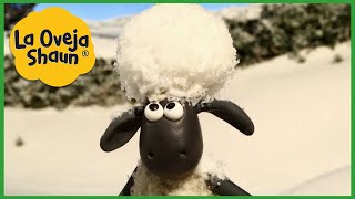 La Oveja Shaun 🐑 Oveja de las nieves 🐑 Dibujos animados para niños [upl. by Sanson167]