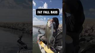 FAT Fall bass kayakbassfishing bassfishing fishing [upl. by Sathrum34]