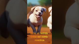 Descifrando el sonido de los perros La Voz del Mejor Amigo el perro y sus sonidos [upl. by Elonore696]