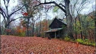 🍂Autumn Leaves Are Falling Down 🍁 Las Hojas de Otoño Están Cayendo 🍂 Oak leaves Hojas de Roble [upl. by Noevad]