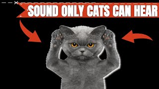 Sound Only Cats Can Hear 🐱🐈 [upl. by Ginnifer]