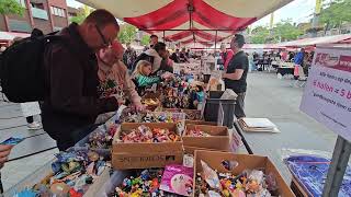 Boekenmarkt Dordrecht 2024 [upl. by Aisitel]