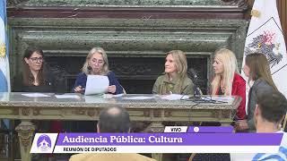 Audiencia Pública 1400 hs [upl. by Swayne]