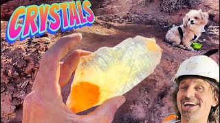 These GOLDEN Selenite Crystals will Rock You [upl. by Aisital]