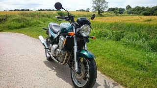 Tiggi  Triumph Trident 900 [upl. by Lyrrad230]