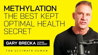 Methylation  The Best Kept Optimal Health Secret [upl. by Ellak]