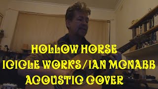 Hollow Horse Icicle WorksIan McNabb Acoustic Cover [upl. by Ehsiom]