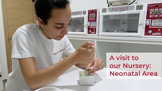 Visita a la nursería en el área neonatal de Psittacus [upl. by Karola]