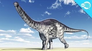 Did The Brontosaurus Exist [upl. by Hay]