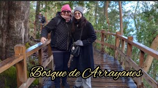 Bosque de Arrayanes Bariloche [upl. by Nelloc385]