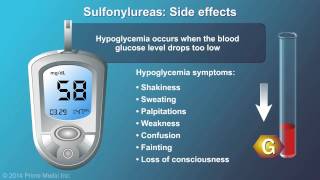 Treatment and Management of Type 2 Diabetes [upl. by Ran]