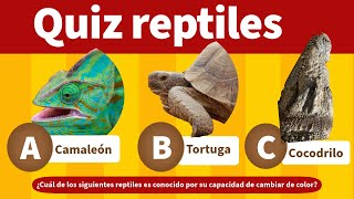 ¿Cuánto sabes de los reptiles  LOS REPTILES y sus características  Juego Educativo Reptiles [upl. by Iveson]