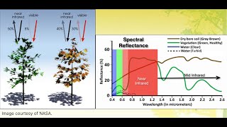 Normalized Difference Vegetation Index NDVIPPT [upl. by Namwob]