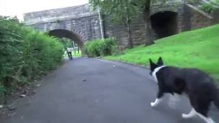 Short Cycle  Clydebank Waterfront And Back [upl. by Harima]